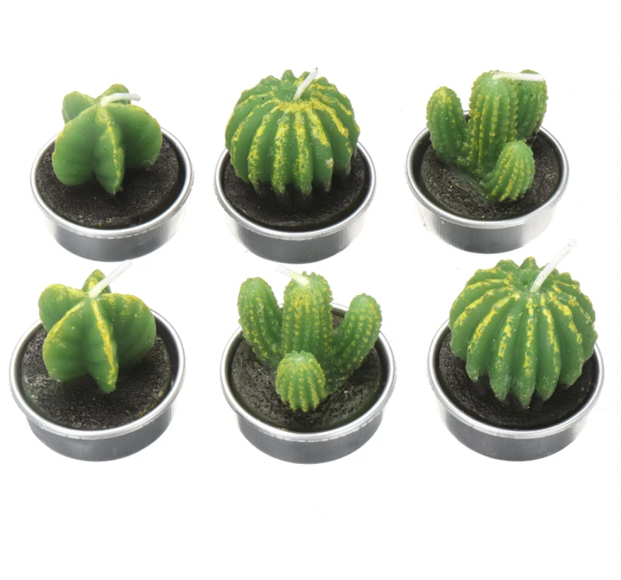 Cute Cactus Candle Set