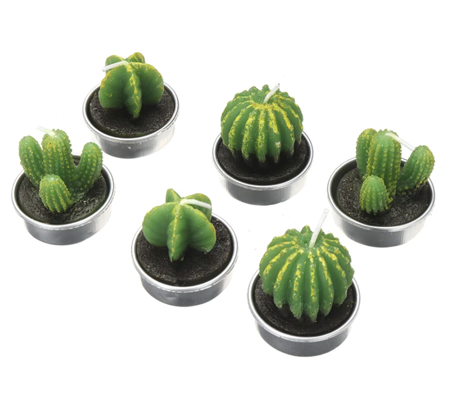 Cute Cactus Candle Set