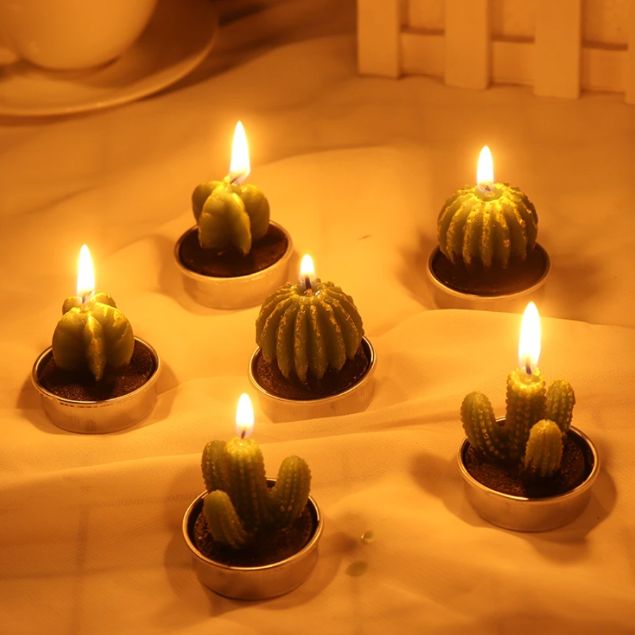 Cute Cactus Candle Set